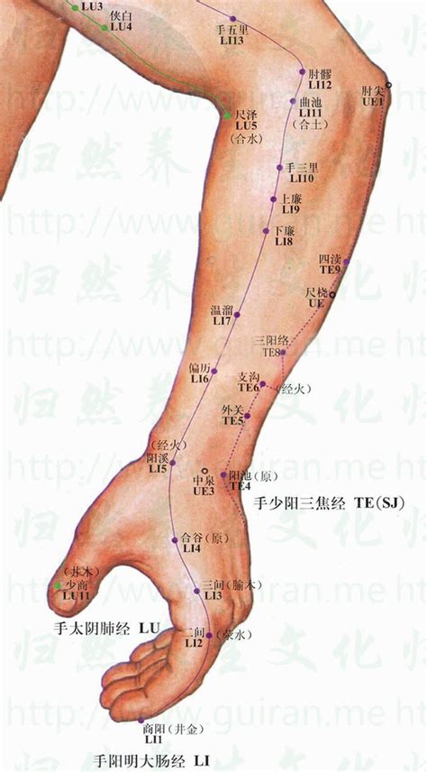 三間穴位置|三間(三間穴):名稱釋義,腧穴定位,簡便定位,解剖定位,功。